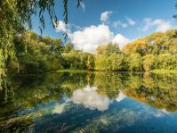 Quellgarten Henglarn © Teutoburger Wald Tourismus / Dominik Ketz